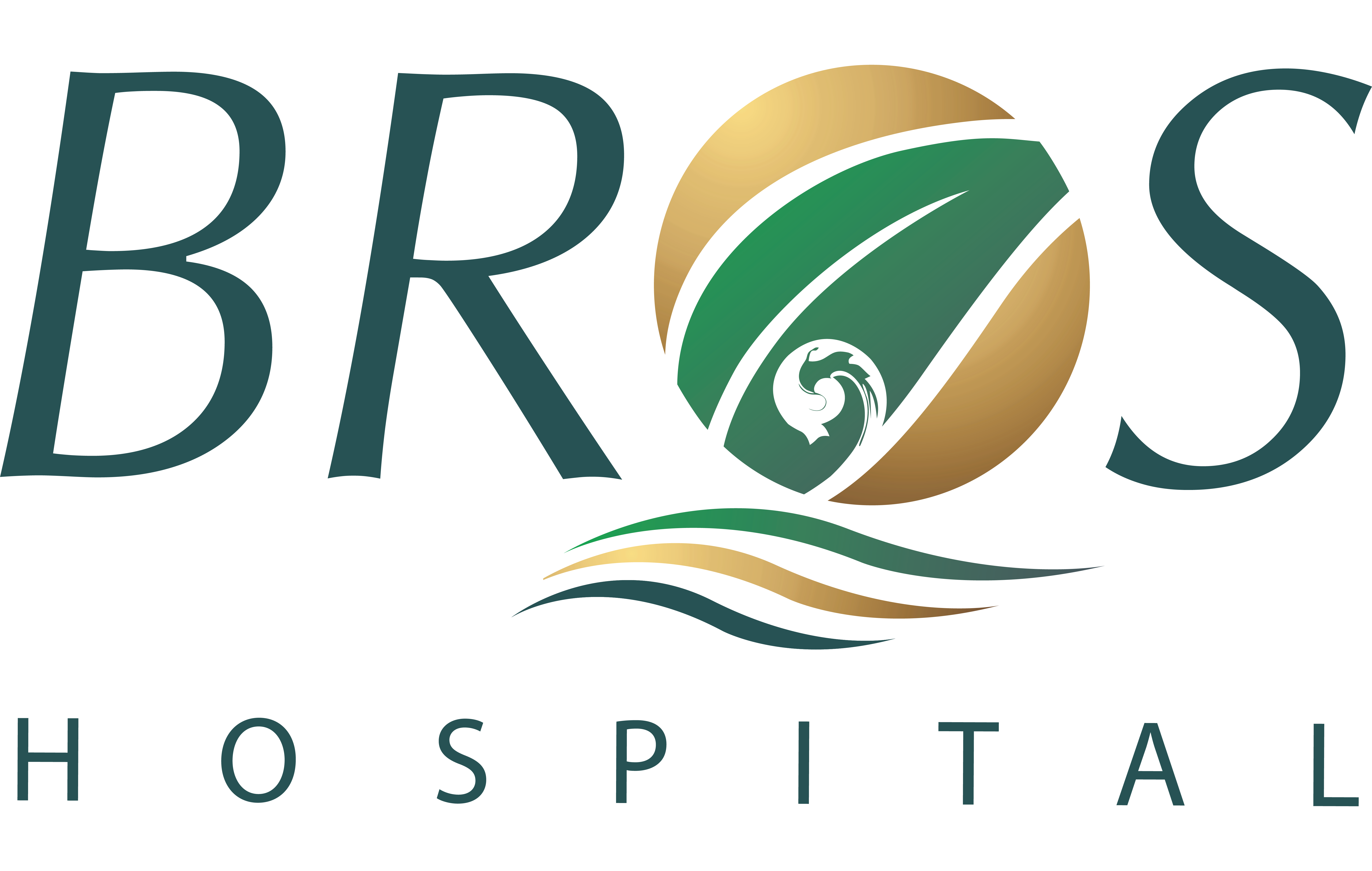 Bali Royal Hospital